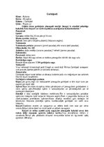 Konspekts 'Divspārņi', 10.