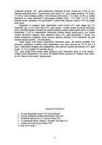 Referāts 'Kredītkartes un debetkartes', 11.