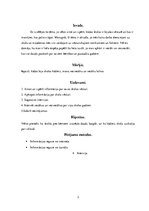 Referāts 'Skolu vēsture', 3.