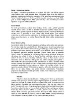 Referāts 'Skolu vēsture', 21.