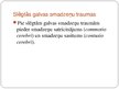 Prezentācija 'Centrālās nervu sistēmas traumatiski bojājumi', 2.