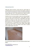 Referāts 'Grīdas segumi: masīvkoka dēļi', 8.