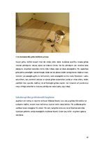 Referāts 'Grīdas segumi: masīvkoka dēļi', 10.