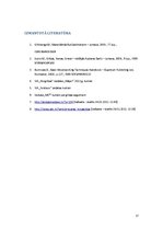 Referāts 'Grīdas segumi: masīvkoka dēļi', 17.