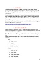 Referāts 'Kinder Chocolate Marketing Strategy Analysis', 3.