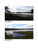 Diplomdarbs 'Pārgaujas novada ezeru izvērtējums atpūtas un tūrisma kontekstā', 51.