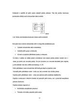 Referāts 'Tirdzniecības veicināšanas pasākumu nozīme neieplānotu pirkumu veikšanā', 10.