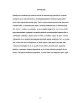 Referāts 'Tirdzniecības veicināšanas pasākumu nozīme neieplānotu pirkumu veikšanā', 13.