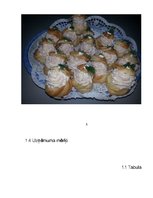 Biznesa plāns 'Biznesa plāna izstrāde uzņēmumam', 8.