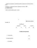 Biznesa plāns 'Biznesa plāna izstrāde uzņēmumam', 16.