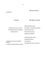 Biznesa plāns 'Biznesa plāna izstrāde uzņēmumam', 18.