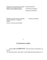 Biznesa plāns 'Biznesa plāna izstrāde uzņēmumam', 19.