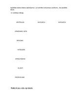 Biznesa plāns 'Biznesa plāna izstrāde uzņēmumam', 20.