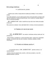 Biznesa plāns 'Biznesa plāna izstrāde uzņēmumam', 22.