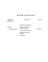 Biznesa plāns 'Biznesa plāna izstrāde uzņēmumam', 23.