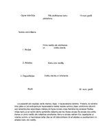 Biznesa plāns 'Biznesa plāna izstrāde uzņēmumam', 25.