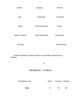 Biznesa plāns 'Biznesa plāna izstrāde uzņēmumam', 27.