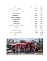 Biznesa plāns 'Biznesa plāna izstrāde uzņēmumam', 28.