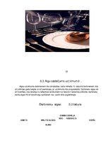 Biznesa plāns 'Biznesa plāna izstrāde uzņēmumam', 32.