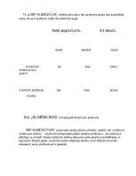 Biznesa plāns 'Biznesa plāna izstrāde uzņēmumam', 35.