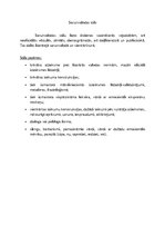 Konspekts 'Latviešu valodas funkcionālie stili', 6.