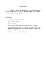 Konspekts 'Latviešu valodas funkcionālie stili', 13.