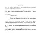 Referāts 'Solārijs un ādas slimības', 3.