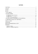 Referāts 'Solārijs un ādas slimības', 5.