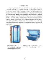 Referāts 'Solārijs un ādas slimības', 10.