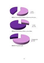 Referāts 'Solārijs un ādas slimības', 24.