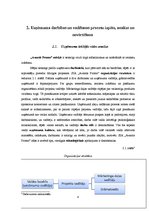 Prakses atskaite 'Prakse SIA "Avantis Promo"', 8.