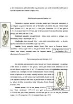 Konspekts 'Sūcējtārpu klases raksturojums', 3.