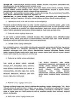 Konspekts 'Eksāmenu biļetes kursam "Latviešu valodas kultūra"', 4.