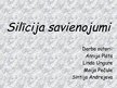 Prezentācija 'Silīcija savienojumi', 1.