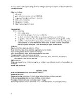 Prakses atskaite 'Pacienta aprūpes plāns', 5.