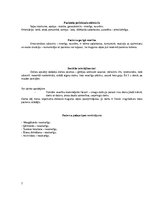 Prakses atskaite 'Pacienta aprūpes plāns', 7.