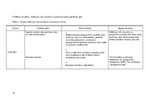 Prakses atskaite 'Pacienta aprūpes plāns', 19.