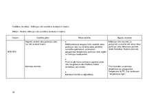 Prakses atskaite 'Pacienta aprūpes plāns', 28.