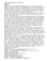 Eseja 'Hooghoudt Company Business to Business Relations Analysis', 2.