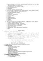 Konspekts 'Žurnālistikas pamati', 2.