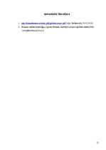 Referāts 'Konkurējošās vērtības organizācijā', 12.