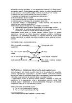 Referāts 'Menedžments bērnu atpūtas nometnei', 5.