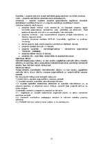 Referāts 'Menedžments bērnu atpūtas nometnei', 10.