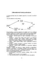 Referāts 'Menedžments bērnu atpūtas nometnei', 13.