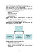 Referāts 'Menedžments bērnu atpūtas nometnei', 19.