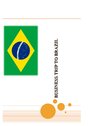 Prezentācija 'Business Trip to Brazil', 1.