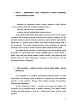 Referāts 'Domraksts - viens no valodas kompetences indikatoriem', 13.