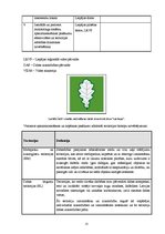 Referāts 'Karostas pelēko kāpu dabas aizsardzības plāns', 21.