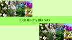 Prezentācija 'LIFE Integrētais projekts: Natura2000 aizsargājamo teritoriju pārvaldības un aps', 24.