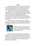 Referāts 'Matu krāsošana', 1.